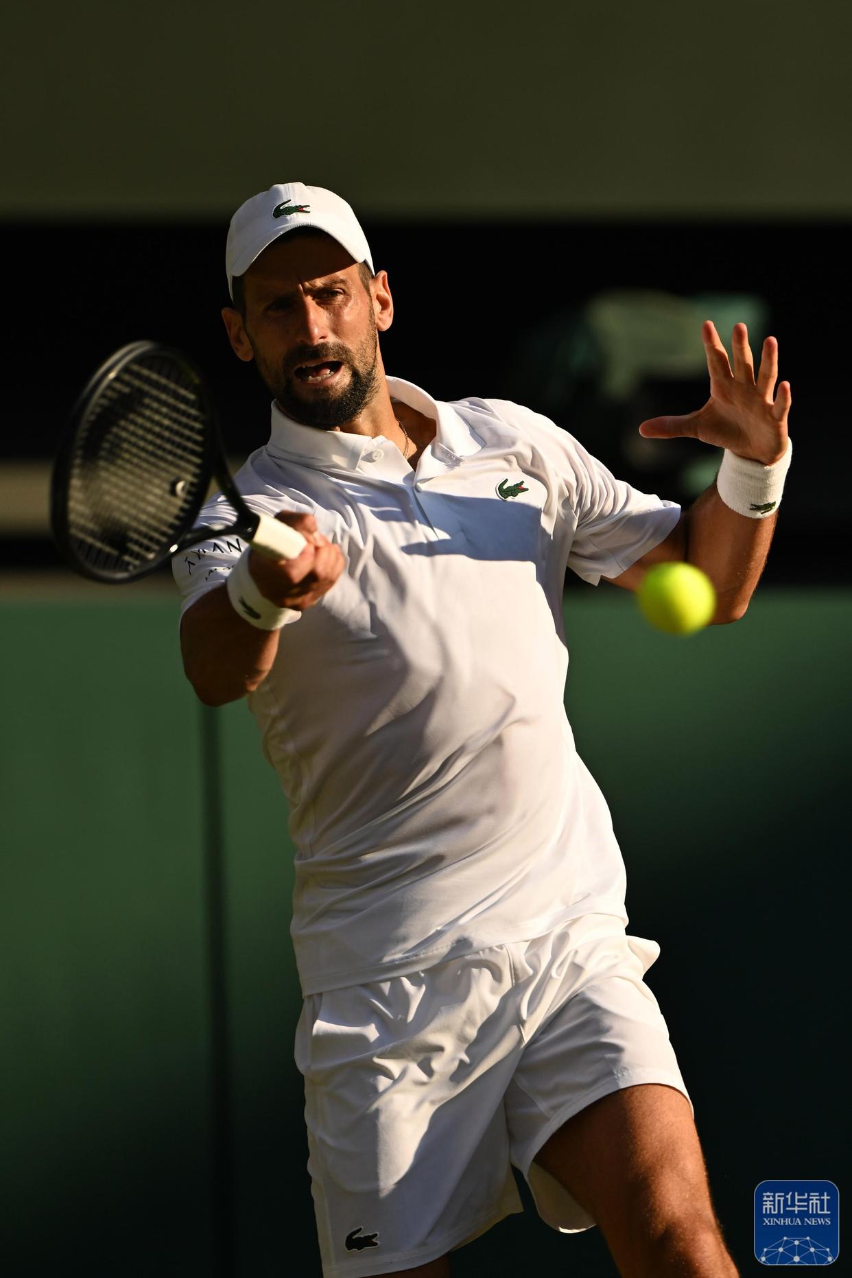 开云官网-温网碾压戴维斯杯，辛纳刷新纪录