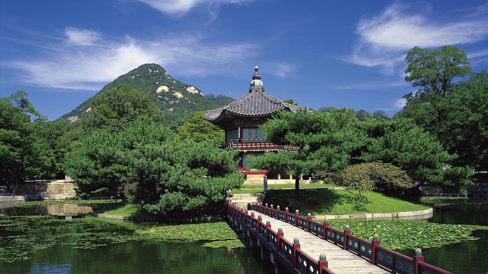 鏖战绿军 东契奇末节封神 新疆男篮虽败犹荣