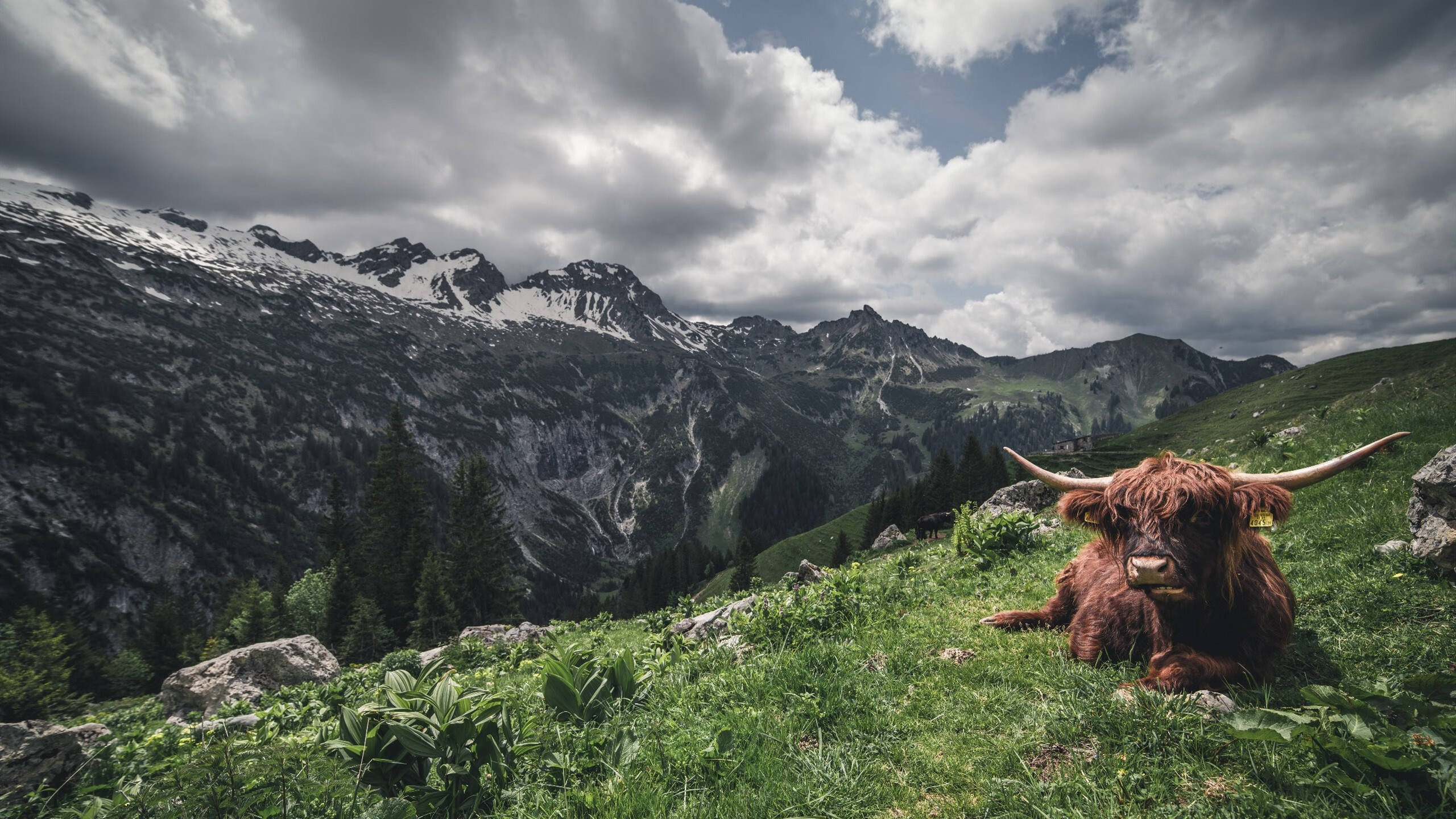 世界排名争夺战之夜，迪马利亚，舞台越大越强