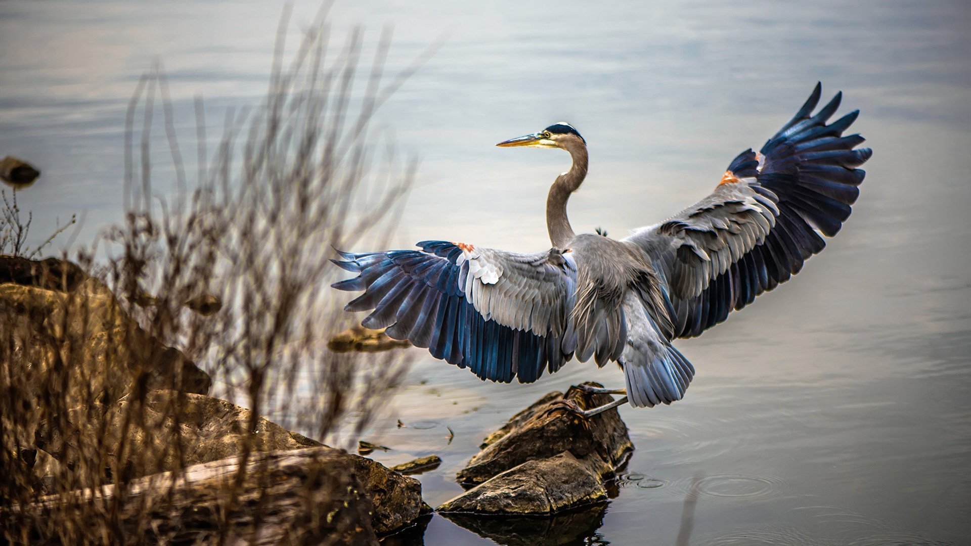 跨洋对决，文班亚马率活塞险胜新疆，天赋与体系的巅峰碰撞