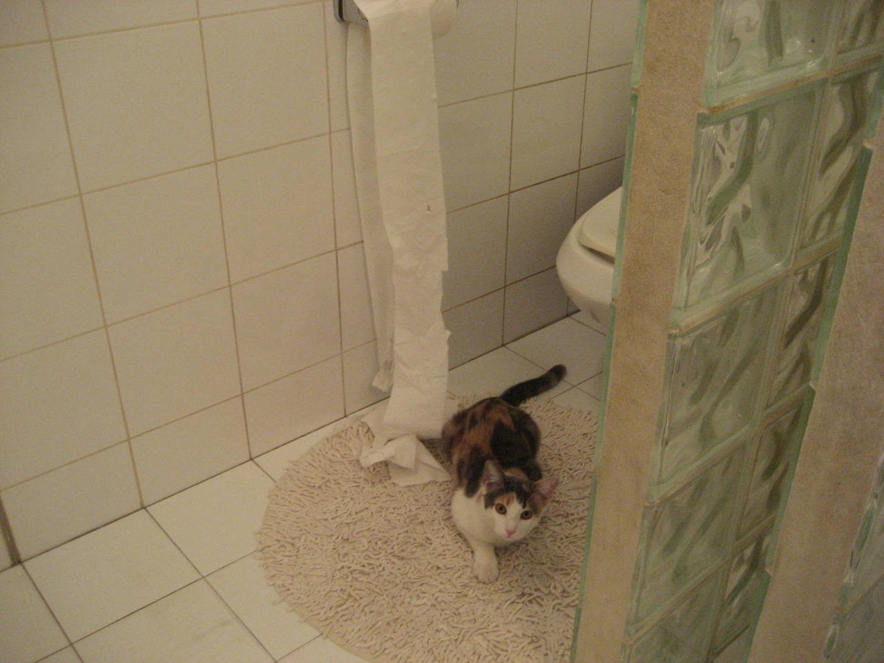 关键先生哈利伯顿！浙江队最后时刻逆转上海，续写争冠传奇