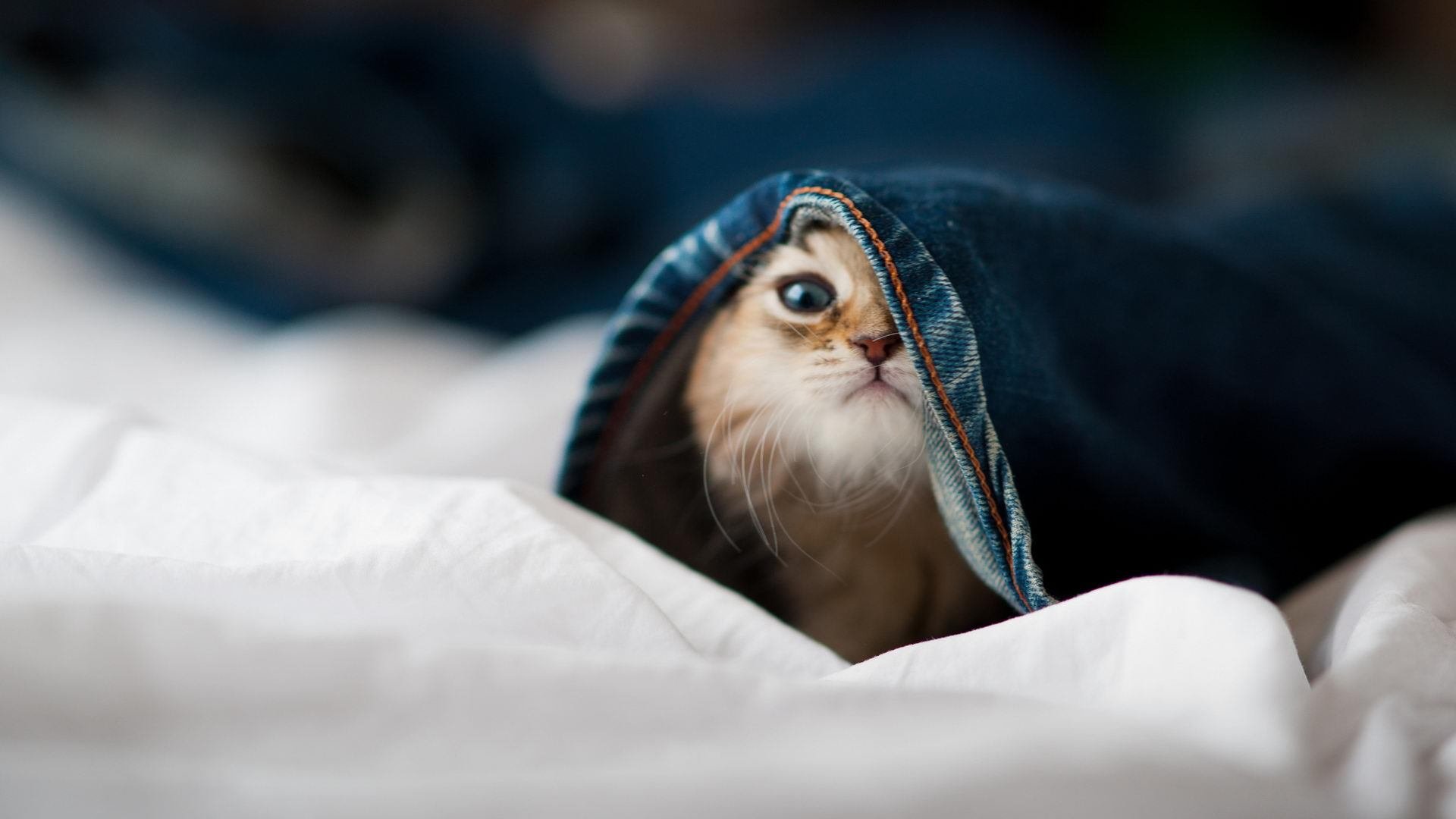 利刃出鞘，绝杀定乾坤—马丁内利末节神兵天降，曼联力擒几内亚强敌