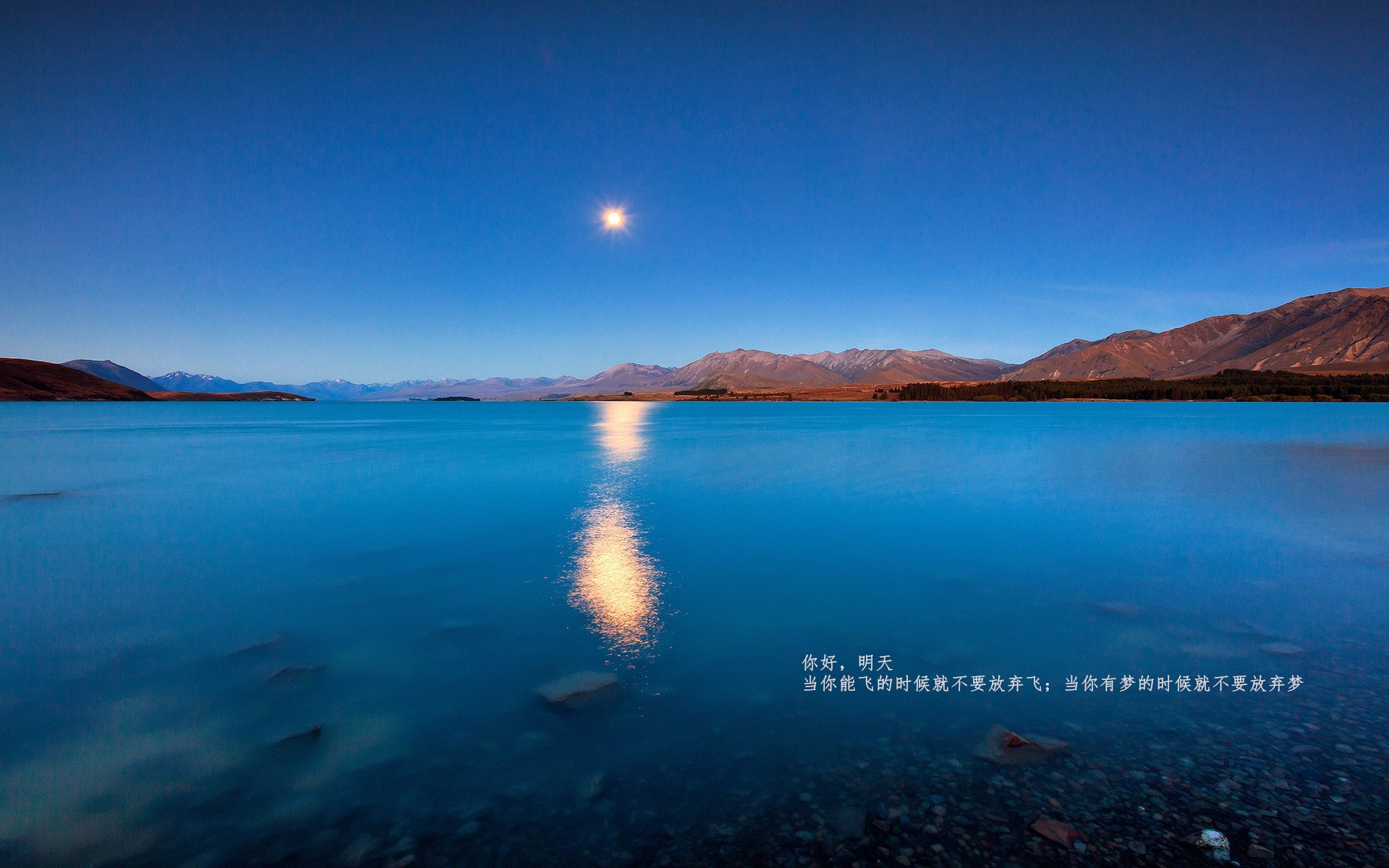 绿茵赌局,当阿拉巴的脚踝颤抖时,蓝军已为命运押上全部筹码
