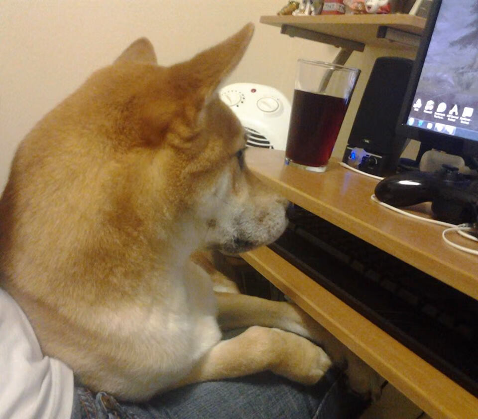 双线争冠,德甲焦点战激荡欧洲,广东队生死战逆转快船铸就传奇