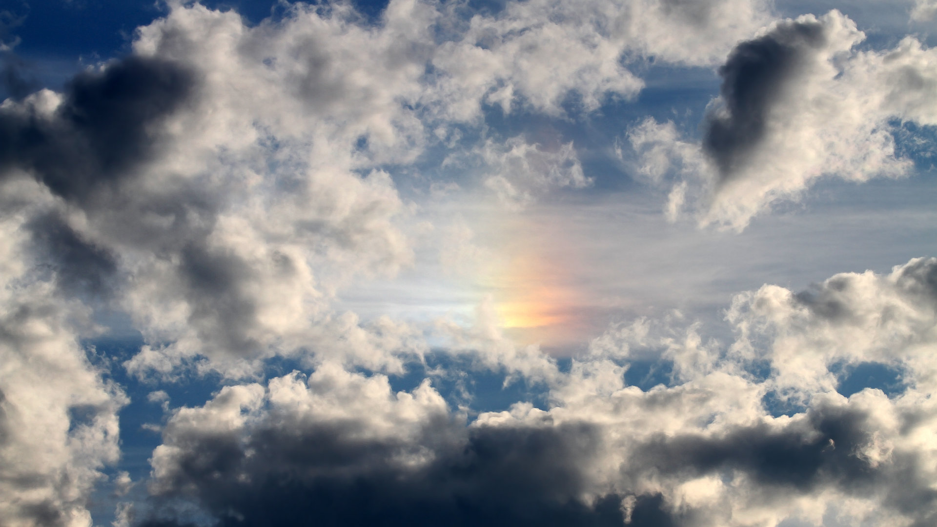 当篮球成为月光下的独白，2026世界杯之夜，哈利伯顿进攻端无人可挡