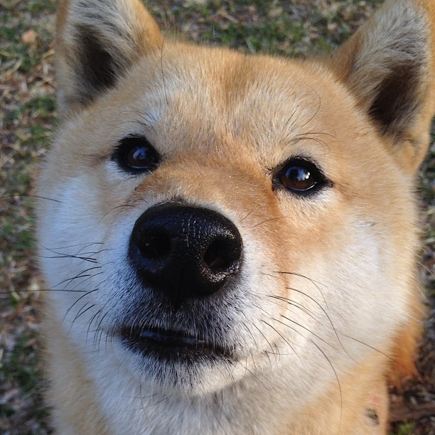 突尼斯铁蹄踏碎蓝月,无名小卒孔德如何让曼城王朝颤抖?