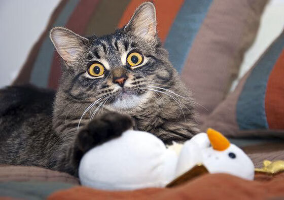 从防守枷锁到进攻引擎，米切尔如何重塑比赛节奏