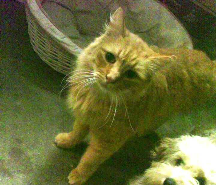 东决关键战之夜,那一夜的荣耀与救赎