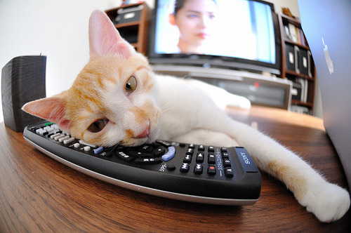 手术刀般精准,火箭战术冰封活塞,东契奇化身终结者,定义关键先生新标准