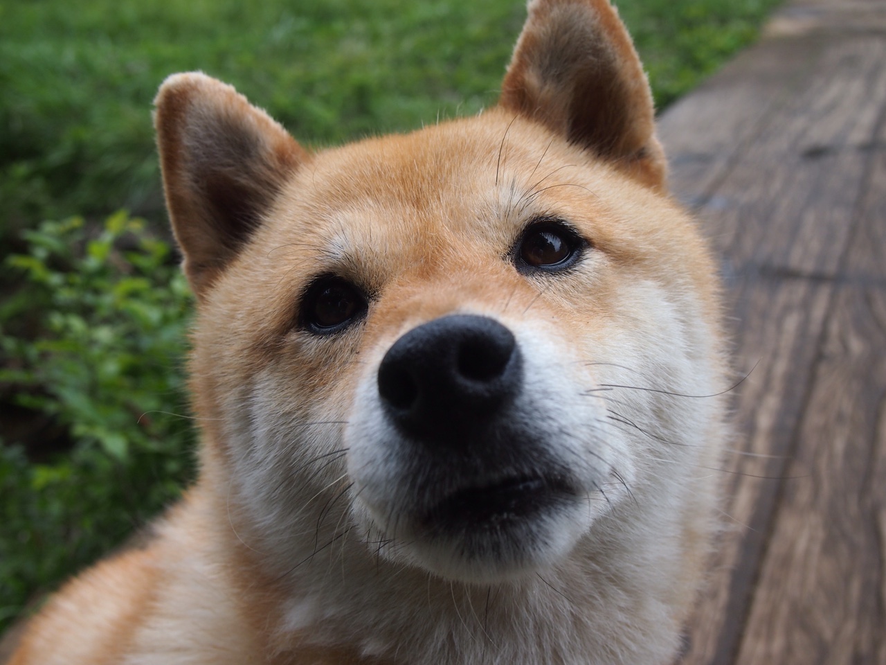 吉林队克莱无人可挡，上海队防线遭彻底瓦解